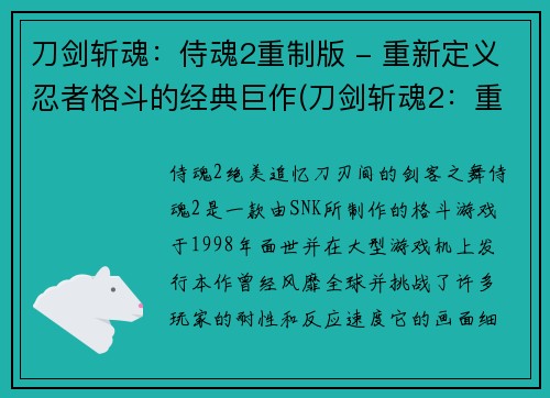 刀剑斩魂：侍魂2重制版 - 重新定义忍者格斗的经典巨作(刀剑斩魂2：重新定义忍者格斗的经典巨作续篇)